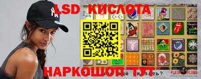 крисы Шахты