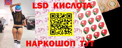крисы Шахты