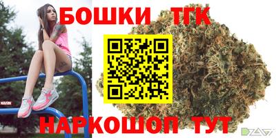 крисы Шахты