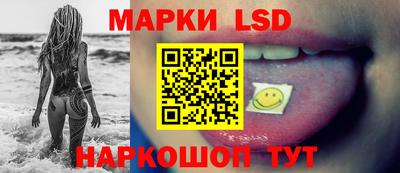 крисы Шахты