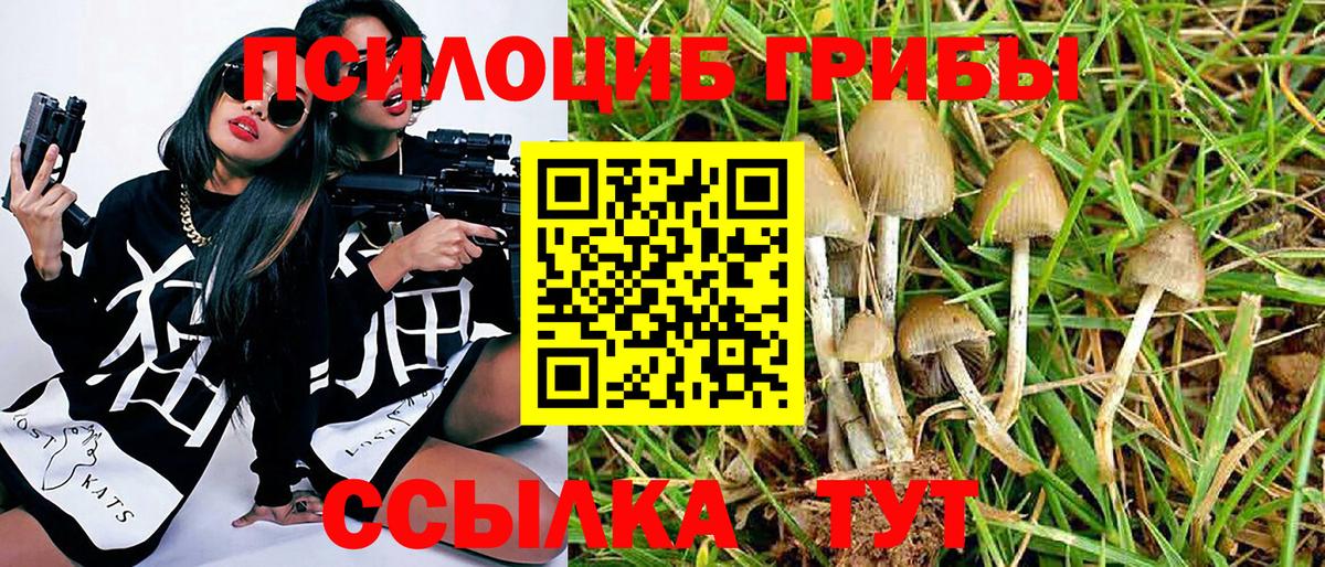 Галлюциногенные грибы Cubensis  Вход с VPN  Новый Уренгой 