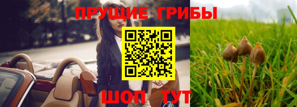 Галлюциногенные грибы ЛСД Новый Уренгой